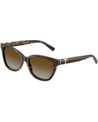 Tiffany & Co. - Tf4237B 8015T5 Sunglasses Acetate Cat Eye Polarized Shaded - Lyst