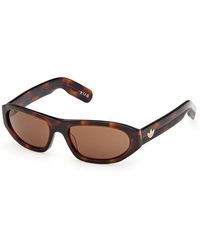 adidas - Or0139 52E Sunglasses Acetate Round Normal - Lyst