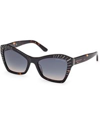 Guess - Gm00020 52W Sunglasses Acetate Geometric Normal - Lyst