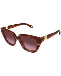 Chloé - Ch0410S 003 Sunglasses Acetate Cat Eye Nuanced - Lyst