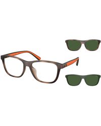 Polo Ralph Lauren - Ph4228U 607071 Sunglasses Injected Squared Normal - Lyst