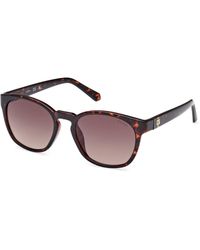 Guess - Gu00083-H 52F Sunglasses Injected Round Normal Shaded - Lyst