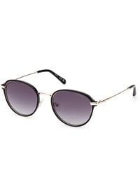 Guess - Gu00068 01B Sunglasses Injected Smoke Round Normal Shaded - Lyst