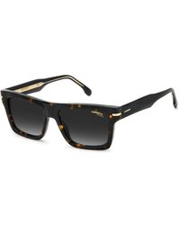 Carrera - 305/S 086/9O Sunglasses Acetate Squared Shaded - Lyst