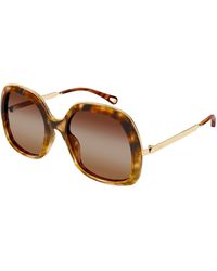 Chloé - Ch0327S 002 Sunglasses Acetate Squared - Lyst