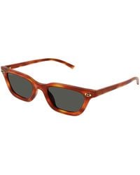 Gucci - Gg1944S 002 Sunglasses Acetate Cat Eye - Lyst