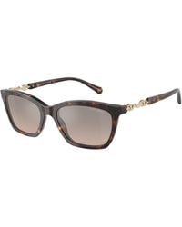 Emporio Armani - Ea4238 50266I Sunglasses Acetate Cat Eye Normal - Lyst