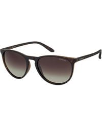Polaroid - Pld 6003/N/S V08/La Sunglasses Plastic Round Polarized - Lyst