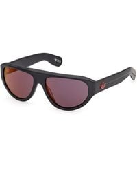 adidas Originals - Or0146 02U Sunglasses Acetate Bordeaux Pilot Normal - Lyst