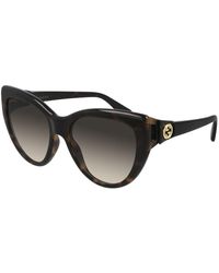 Gucci - Gg0877S 002 Sunglasses Injected Cat Eye Normal Shaded - Lyst