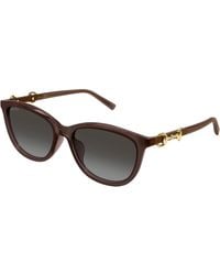 Gucci - Gg2220Sk 003 Sunglasses Acetate Round Nuanced - Lyst