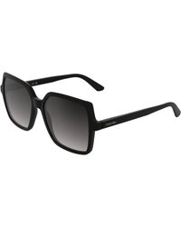 Calvin Klein - Ck25537S 001 Sunglasses Bio-Injected Smoke Butterfly Normal - Lyst