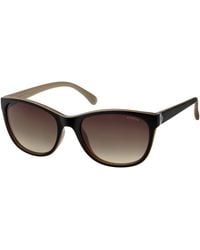 Polaroid - P8339 Kih/La Sunglasses Plastic Round Polarized - Lyst
