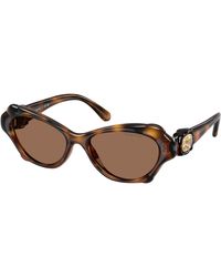 Swarovski - Sk6050 100273 Sunglasses Injected Cat Eye Normal - Lyst