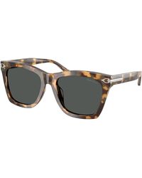 Ralph Lauren - Rl8235U 617887 Sunglasses Acetate Squared Normal - Lyst