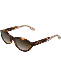 Calvin Klein - Ckj25618S 235 Sunglasses Acetate Cat Eye Normal Shaded - Lyst