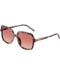 Dolce & Gabbana - Dg4539 3476A5 Sunglasses Acetate Squared Normal Nuanced - Lyst
