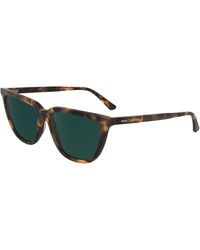 Calvin Klein - Ck24537S 219 Sunglasses Acetate Squared Normal - Lyst