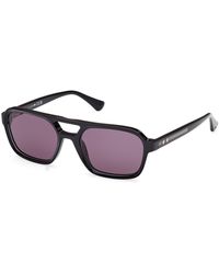 Web - We0376 05A Sunglasses Acetate Smoke Squared Normal - Lyst
