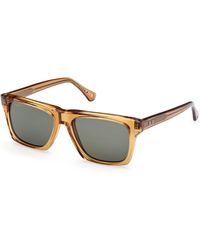 Web - We0382 39N Sunglasses Acetate Squared Normal - Lyst
