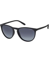 Polaroid - Pld 6003/N/S Dl5/Wj Sunglasses Plastic Round Polarized - Lyst