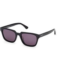 Web - We0391 01A Sunglasses Acetate Smoke Squared Normal - Lyst