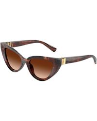Dolce & Gabbana - Dg4497 322274 Sunglasses Acetate Cat Eye Normal Shaded - Lyst