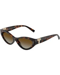 Tiffany & Co. - Tf4225U 8015T5 Sunglasses Injected Round Polarized Shaded - Lyst