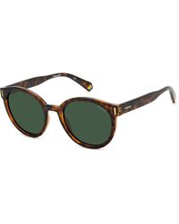 Polaroid - Pld 6185/S 086/Uc Sunglasses Plastic Round Polarized - Lyst