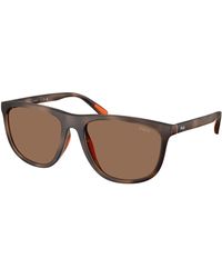 Polo Ralph Lauren - Ph4231U 597473 Sunglasses Injected Pillow Normal - Lyst