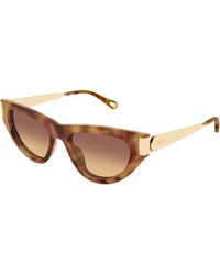 Chloé - Ch0350S 002 Sunglasses Acetate Cat Eye - Lyst