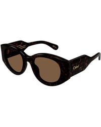 Chloé - Ch0251S 002 Sunglasses Acetate Round - Lyst