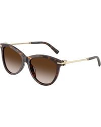 Tiffany & Co. - Tf4258Bu 80153B Sunglasses Acetate Pantos Normal Nuanced - Lyst