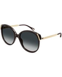 Chloé - Ch0285S 001 Sunglasses Acetate Squared - Lyst