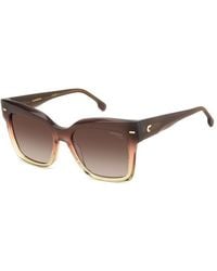 Carrera - 3037/S 0My/Ha Sunglasses Acetate Butterfly Shaded - Lyst
