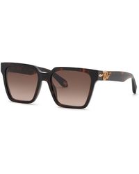 Roberto Cavalli - Src153M 743Y Sunglasses Acetate Squared Normal Nuanced - Lyst