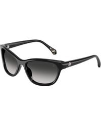 Moncler - Me6031U 30013C Sunglasses Acetate Butterfly Normal Nuanced - Lyst