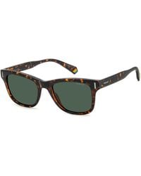 Polaroid - Pld 6206/S 086/Uc Sunglasses Polycarbonate Squared Polarized - Lyst