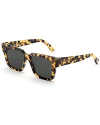 Agent Provocateur - M8W Debie Tortoise Outlet Sunglasses Acetate Squared Normal - Lyst