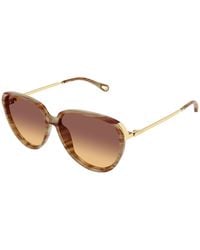 Chloé - Ch0406S 004 Sunglasses Acetate Round Nuanced - Lyst