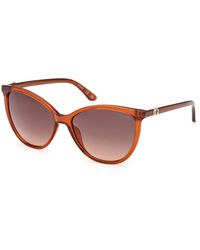 Guess - Gu00256 44F Sunglasses Injected Cat Eye Normal - Lyst