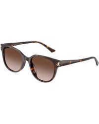 Jimmy Choo - Jc5057D 500213 Sunglasses Acetate Pantos Normal Shaded - Lyst