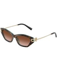 Tiffany & Co. - Tf4231U 81343B Sunglasses Acetate Cat Eye Normal Nuanced - Lyst