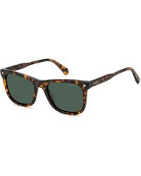 Polaroid - Pld 4167/S/X 086/Uc Sunglasses Acetate Squared Polarized - Lyst