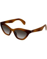 Gucci - Gg1931S 003 Sunglasses Injected Cat Eye - Lyst