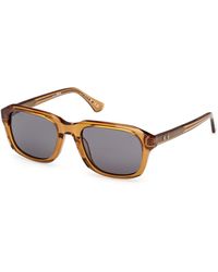 Web - We0389 39A Sunglasses Acetate Smoke Squared Normal - Lyst