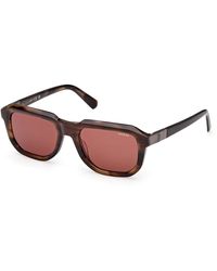 Guess - Gu00278 50S Sunglasses Acetate Bordeaux Squared Normal - Lyst