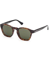 Web - We0384 55N Sunglasses Acetate Round Normal - Lyst