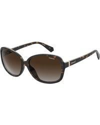 Polaroid - Pld 4098/S 086/La Sunglasses Plastic Round Shaded - Lyst