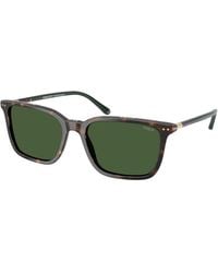 Polo Ralph Lauren - Ph4226 567371 Sunglasses Acetate Pillow Normal - Lyst